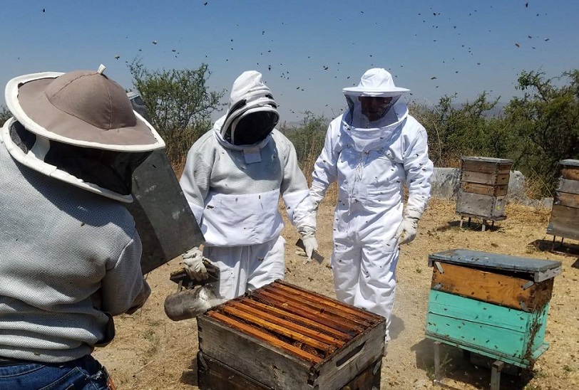 Se fortalece la apicultura de Guanajuato