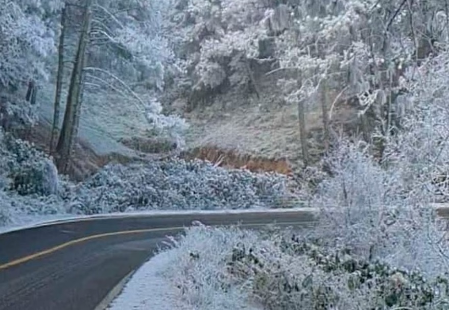 Vienen 4 días con -5 a -10°C en Guanajuato