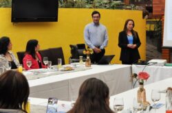 Tu Puedes Guanajuato Apoyos Financiamiento Mujeres