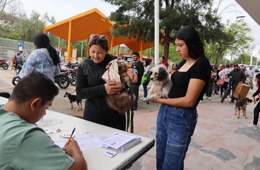 Atienden a mascotas en Purísima