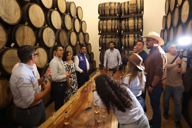 Feria del Agave y sus Raíces Cañada de Negros Purísima del Rincón 6