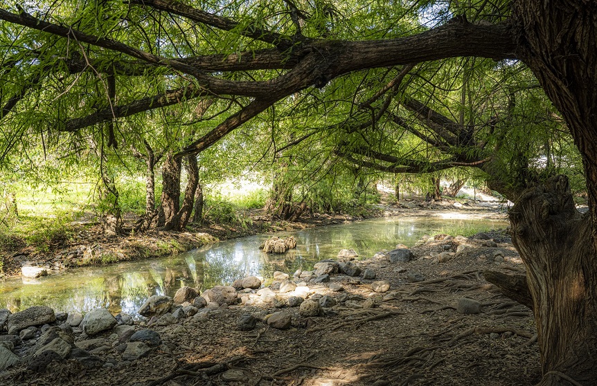 Trabajan en protección de medio ambiente
