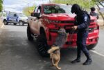 K9 Seguridad Binomio Canino Guanajuato
