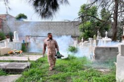 Dengue Fumigación Guanajuato Salud