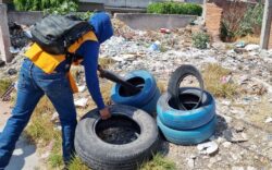 Salud Romita Guanajuato Descacharrización