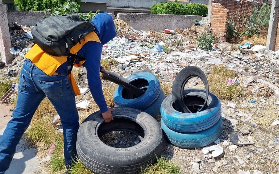 Combaten enfermedades en comunidades de Romita