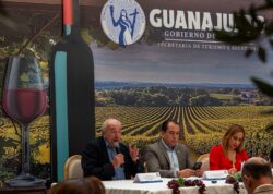 Vendimia 2025 Cosecha Uvas Vino Guanajuato