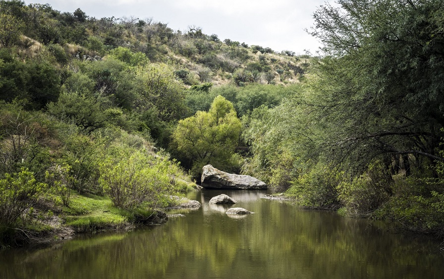 Conmemoran aniversario de Áreas Naturales Protegidas