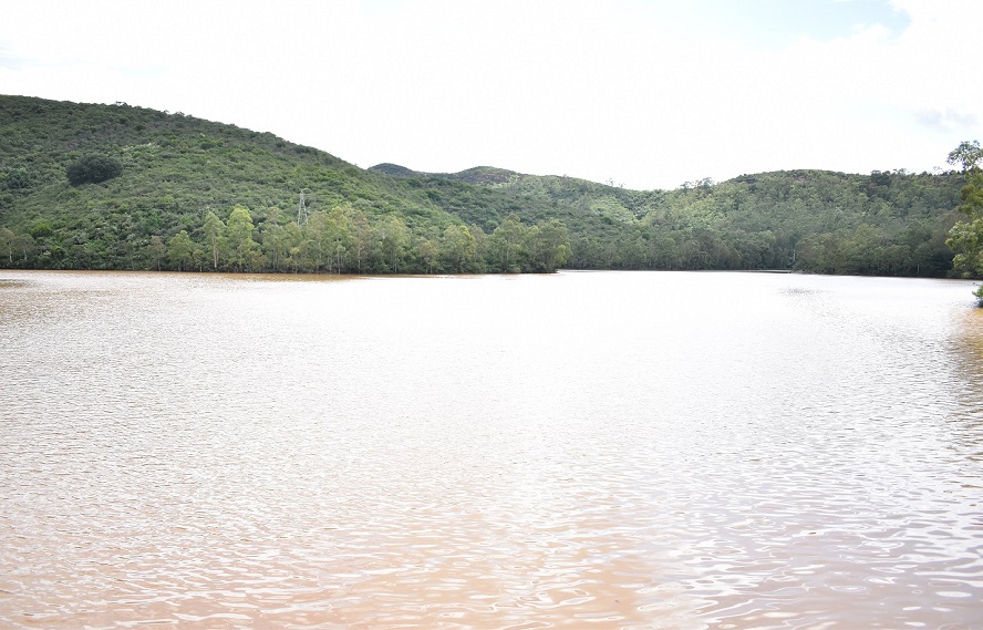 Presas con 101.3 % de almacenamiento en promedio