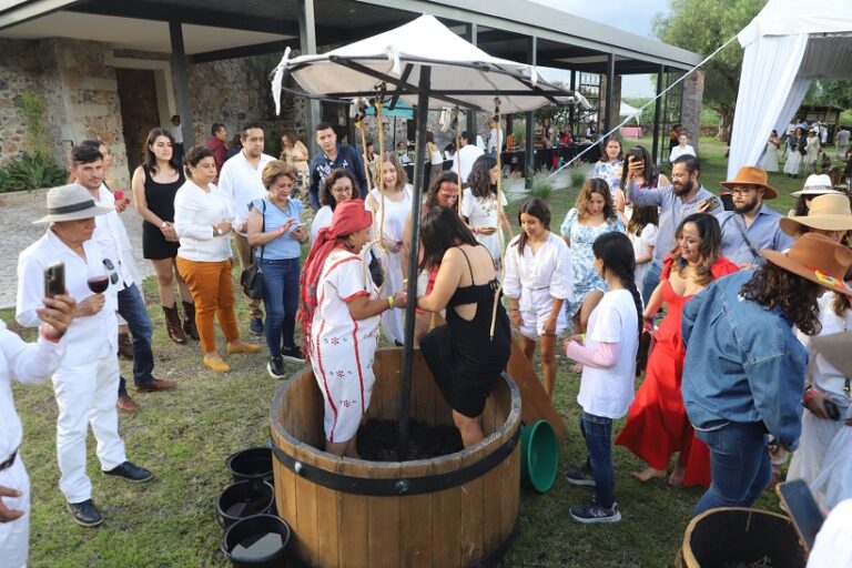 Vendimia 2025 EnoTurismo Guanajuato