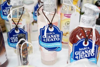 Marca Gto Guanajuato Feria Purísima del Rincón