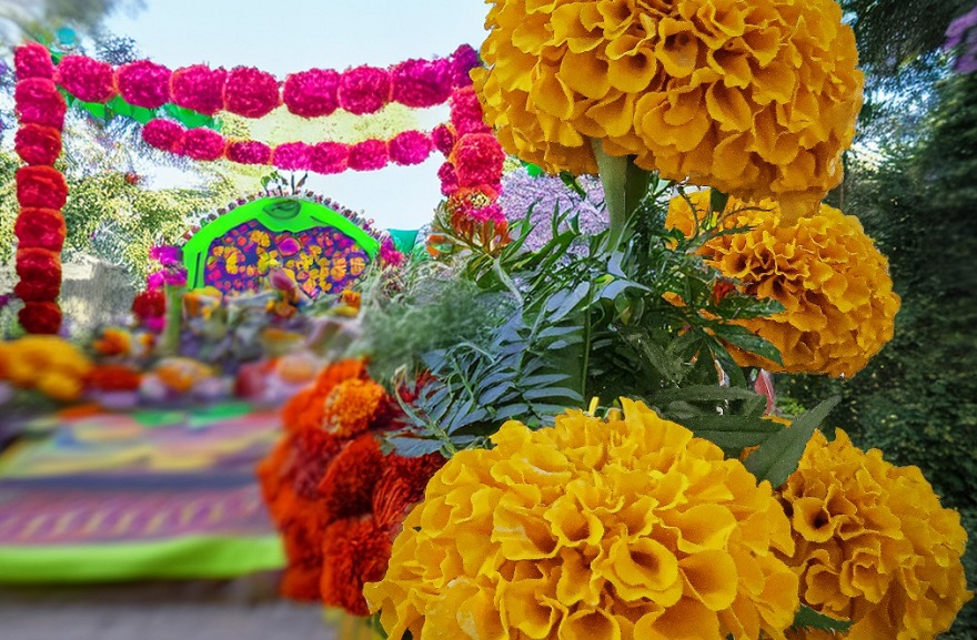 Impulsan consumo local por el Día de Muertos