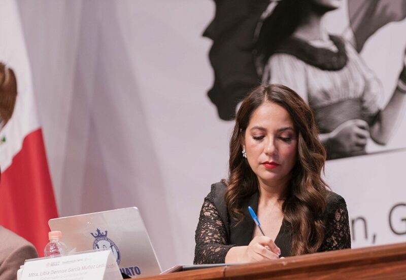 Reforma Electoral Guanajuato Participación