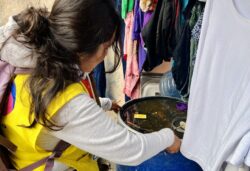 Dengue Avance Reducción Casos Guanajuato