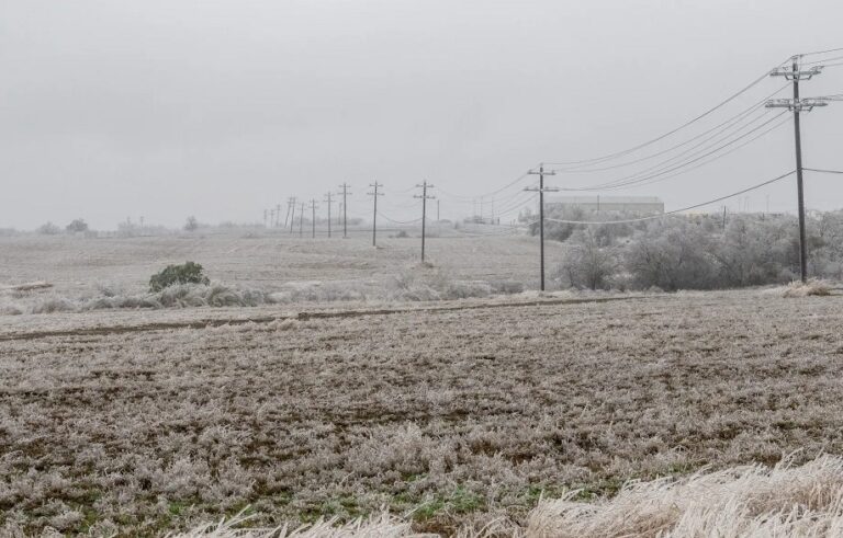 Frío Precaución Salud Guanajuato