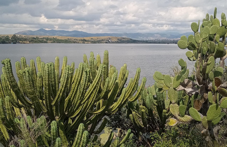 Cumplen 20 años Áreas Naturales Protegidas