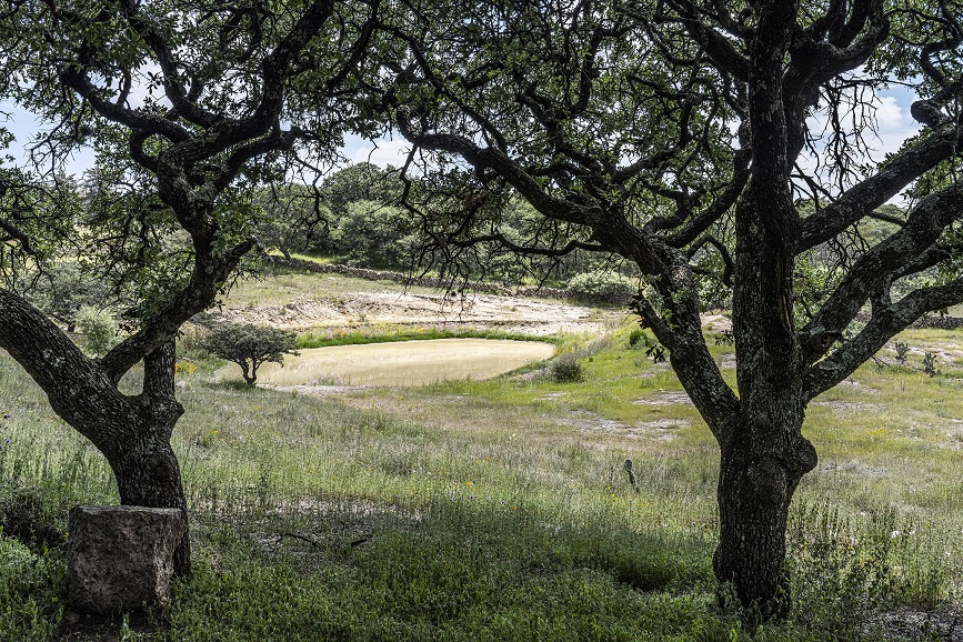 Fomentan conservación de Áreas Naturales Protegidas