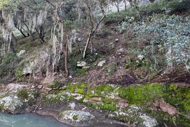 Heno Protección Medio Guanajuato
