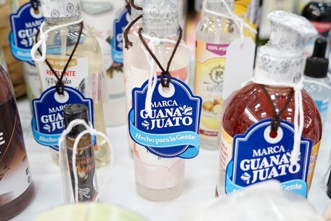 Marca Gto Crecimiento Guanajuato Productos