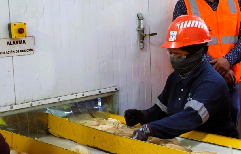 Impulsa Gobierno más de 48 mil empleos