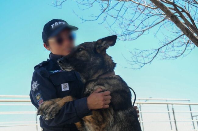 Mujer 2026: Ellas y sus binomios K9