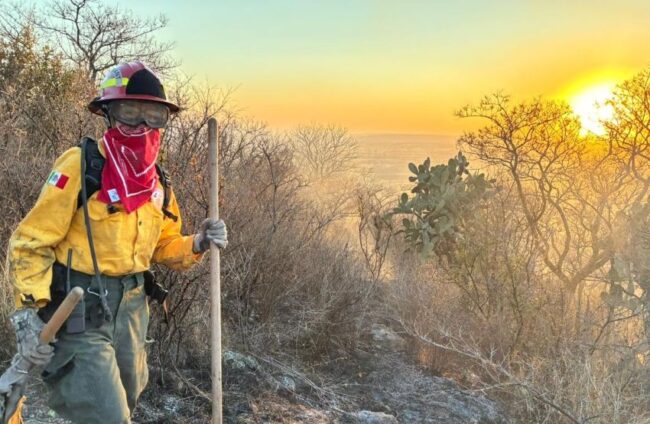 Mujer 2026: Crece matrícula de mujeres en carreras STEM