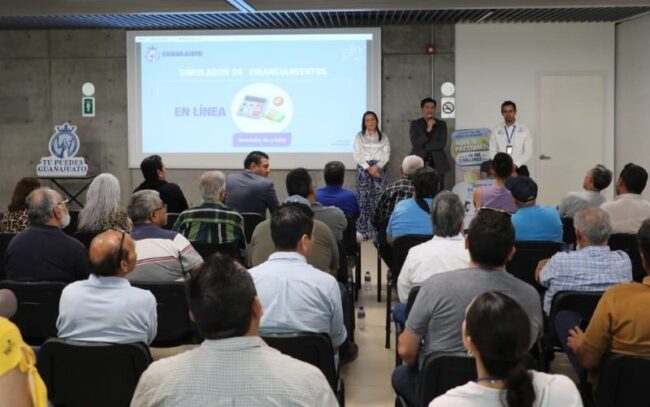 Taxi Concesionarios Financiamiento Tu Puedes Guanajuato