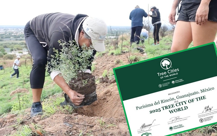 Reconoce ONU labor de Purísima por el medio ambiente