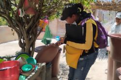 Dengue Guanajuato A la Baja Prevención