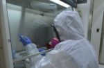 Brote Ébola Vigilancia Secretaría de Salud de Guanajuato