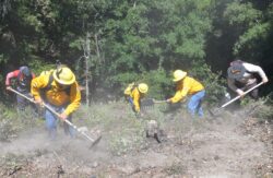 Prevención Incendios Corta Fuego Guanajuato