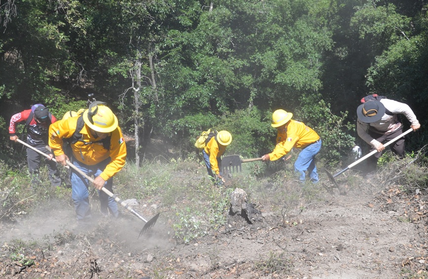 Fortalecen la prevención de incendios forestales
