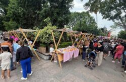 Tianguis Emprendedurismo Purísima del Rincón Guanajuato
