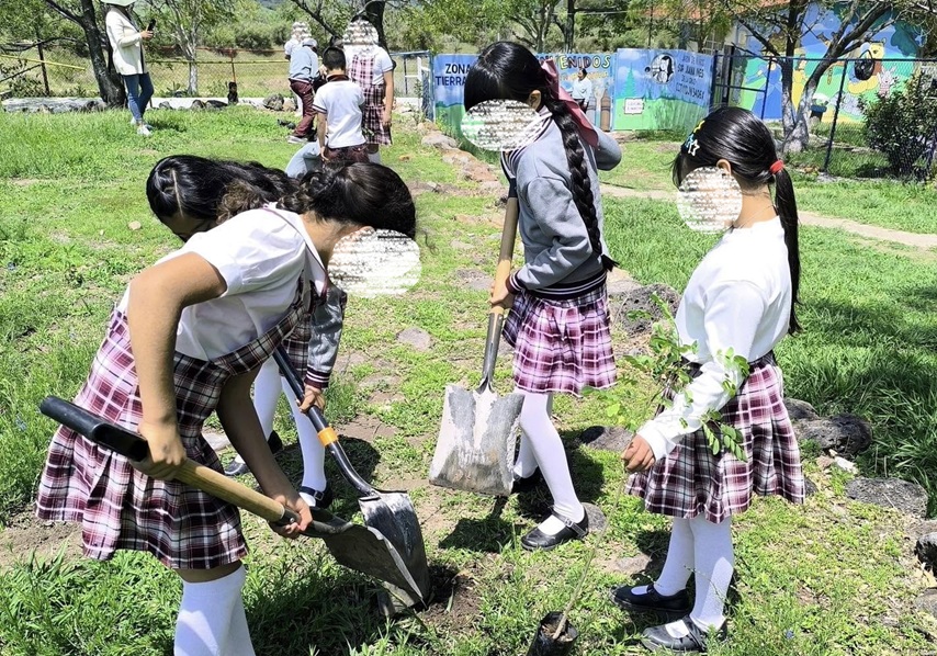 Inicia jornada de arborización en Guanajuato