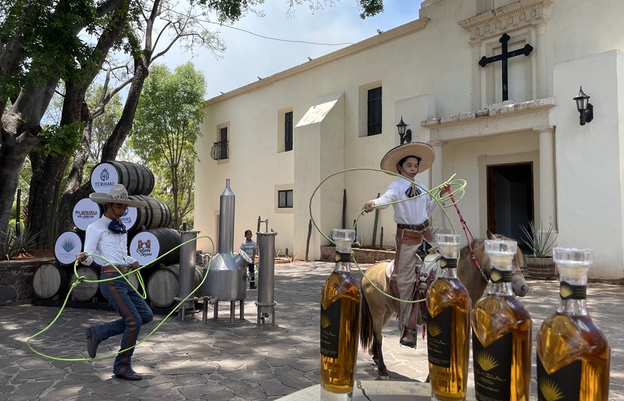 Purísima te espera en el Festival del Agave y sus Raíces Purísima te espera en el Festival del Agave y sus Raíces