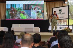 Foro Arbolado Tree City Purísima del Rincón Guanajuato