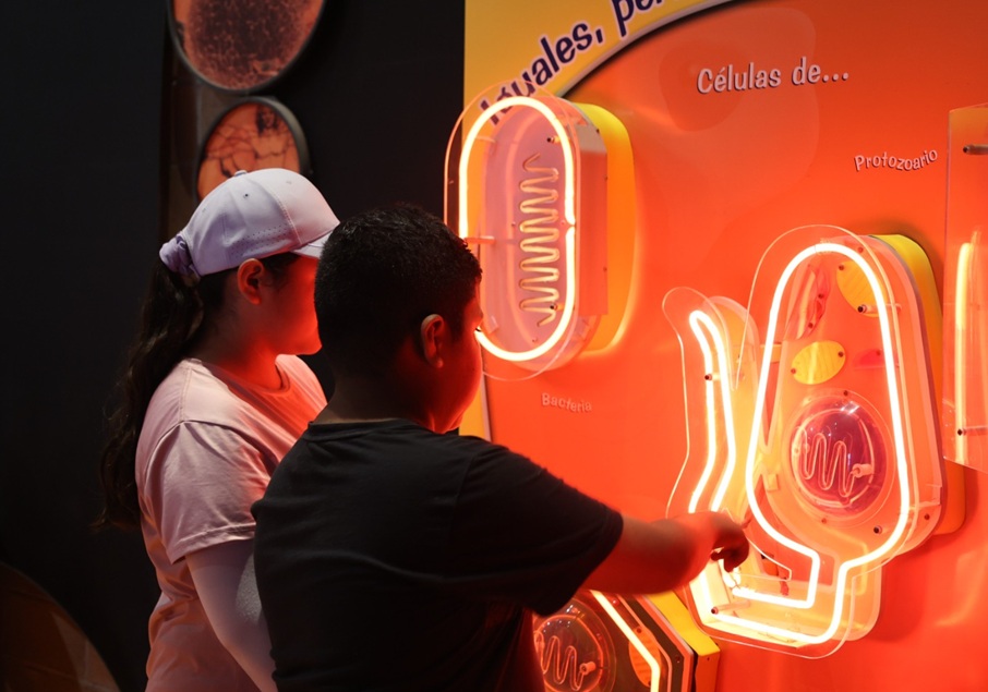 Avanza en Purísima nuevo museo ambiental