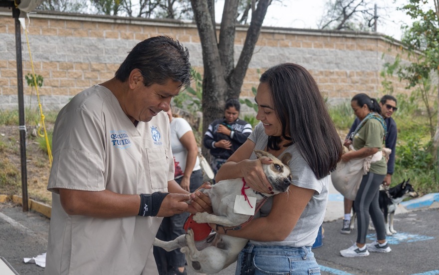 Esterilizan a mascotas en Purísima