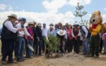 Reforestación Guanajuato Jornada Nacional Plantación Arboles Medio Ambiente