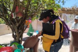Dengue Reducción Casos Guanajuato Salud