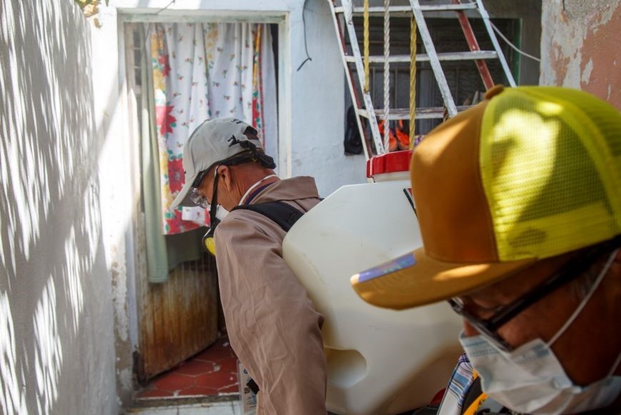 Registra Salud descenso del 80% en casos de dengue Registra Salud descenso del 80% en casos de dengue