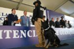 Policía Custodio Guanajuato Reconocimiento