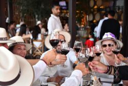 Guanajuato Vinos Premios Segundo Calidad Sabor