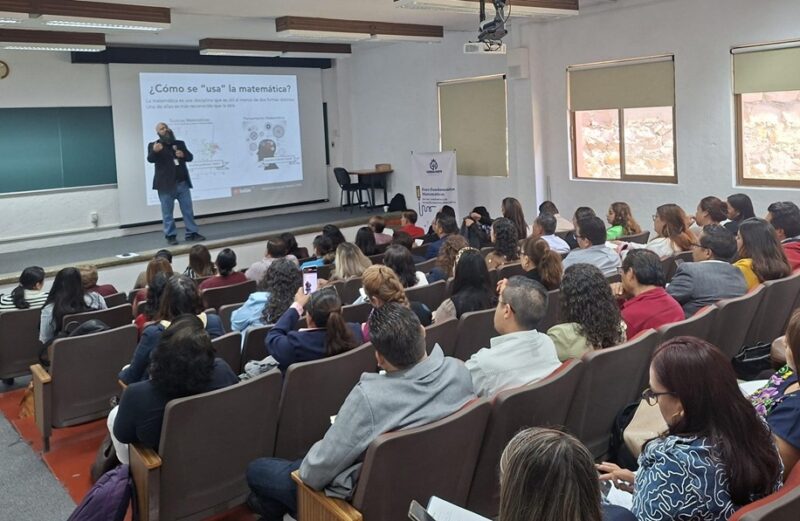 Matemáticas Enseñanza Educación Guanajuato Primaria
