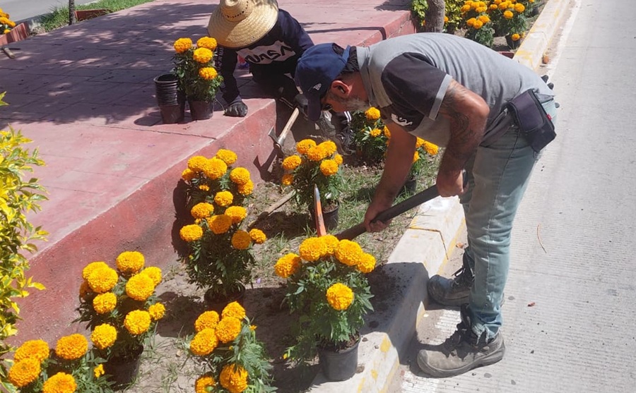 Adornan a Purísima por el Día de Muertos